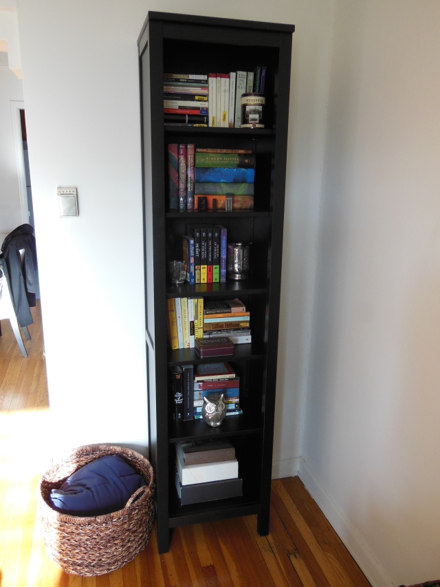 Living Room - Bookcase Detail 1